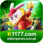 K1177 Game